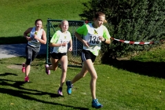 e_Crosslauf_2017_Landesmeisterschaft