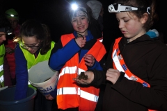 Kroetenwanderung_2M_2017_11