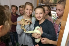 Schlangen_2S_2017_5