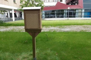 Bienenschaukasten_3