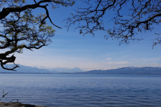 Bregenz_5M_2019_c