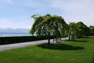 Bregenz_5M_2019_d