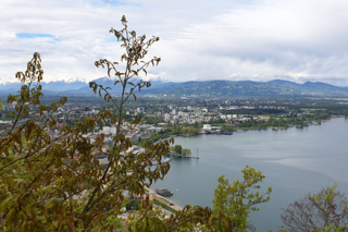 Bregenz_5M_2019_i