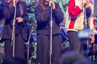 Europark-Konzert_wildbild_q