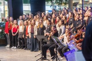 Europark-Konzert_wildbild_w