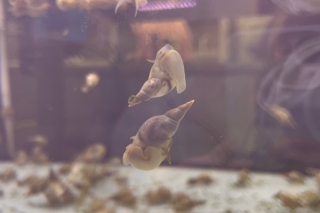 Limnologie_2023_6