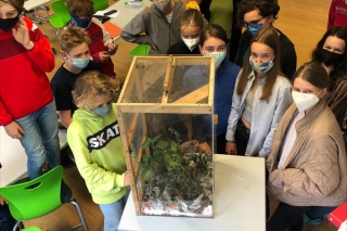 Schmetterlinge_2MS_2021_d