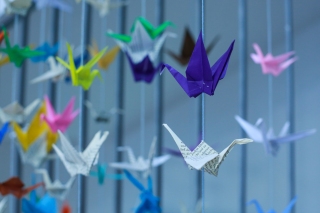 Tag_der_offenen_Tuer_2025_a