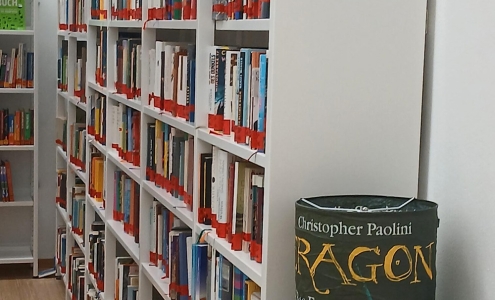Bibliothek_2025_Regal